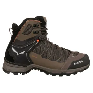 Salewa Mountain Trainer Lite Mid GTX